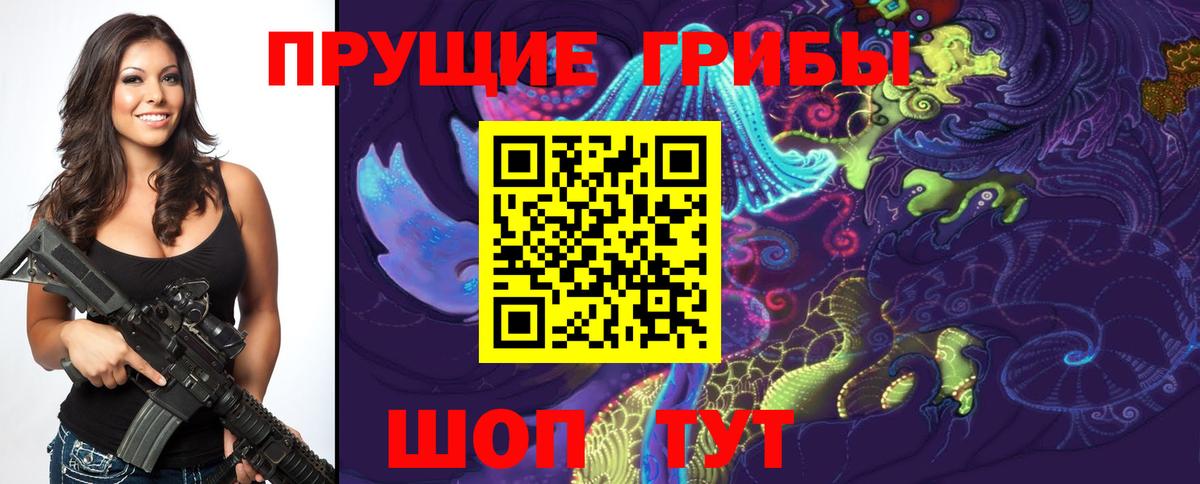 наркота  Псилоцибиновые грибы мицелий  Галлюциногенные грибы Psilocybe  Вход с VPN  Гулькевичи 